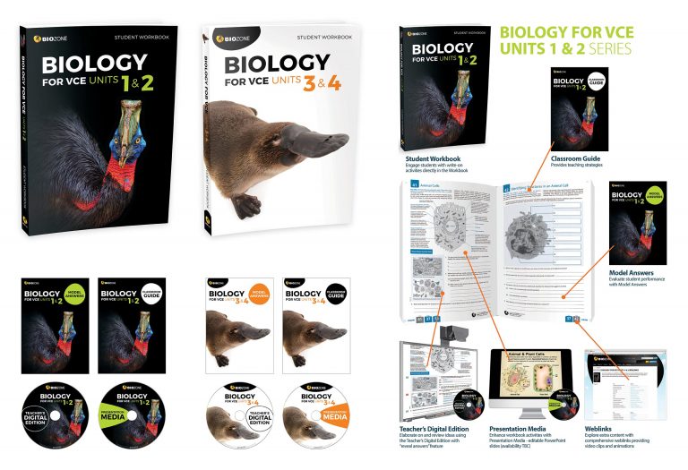 Book cover and supporting educational resource design